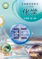 （五四学制）化学九年级全一册（根据2022年版课程标准修订）电子课本