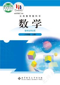 北师大版八年级数学上册