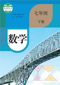 人教版七年级数学下册(五四制)电子课本