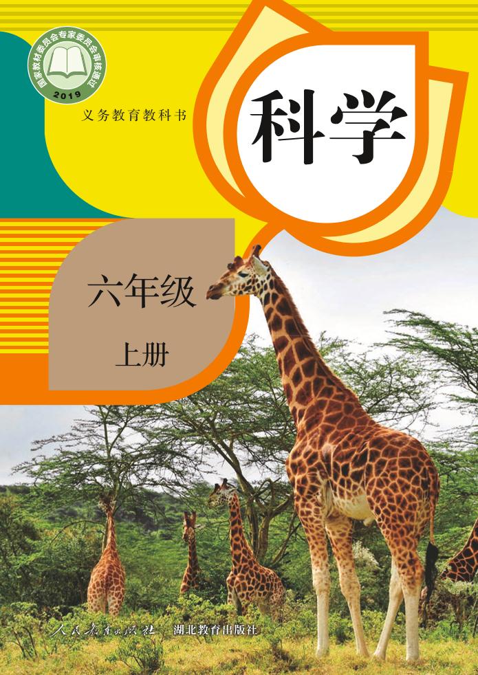 义务教育教科书·科学六年级上册电子课本